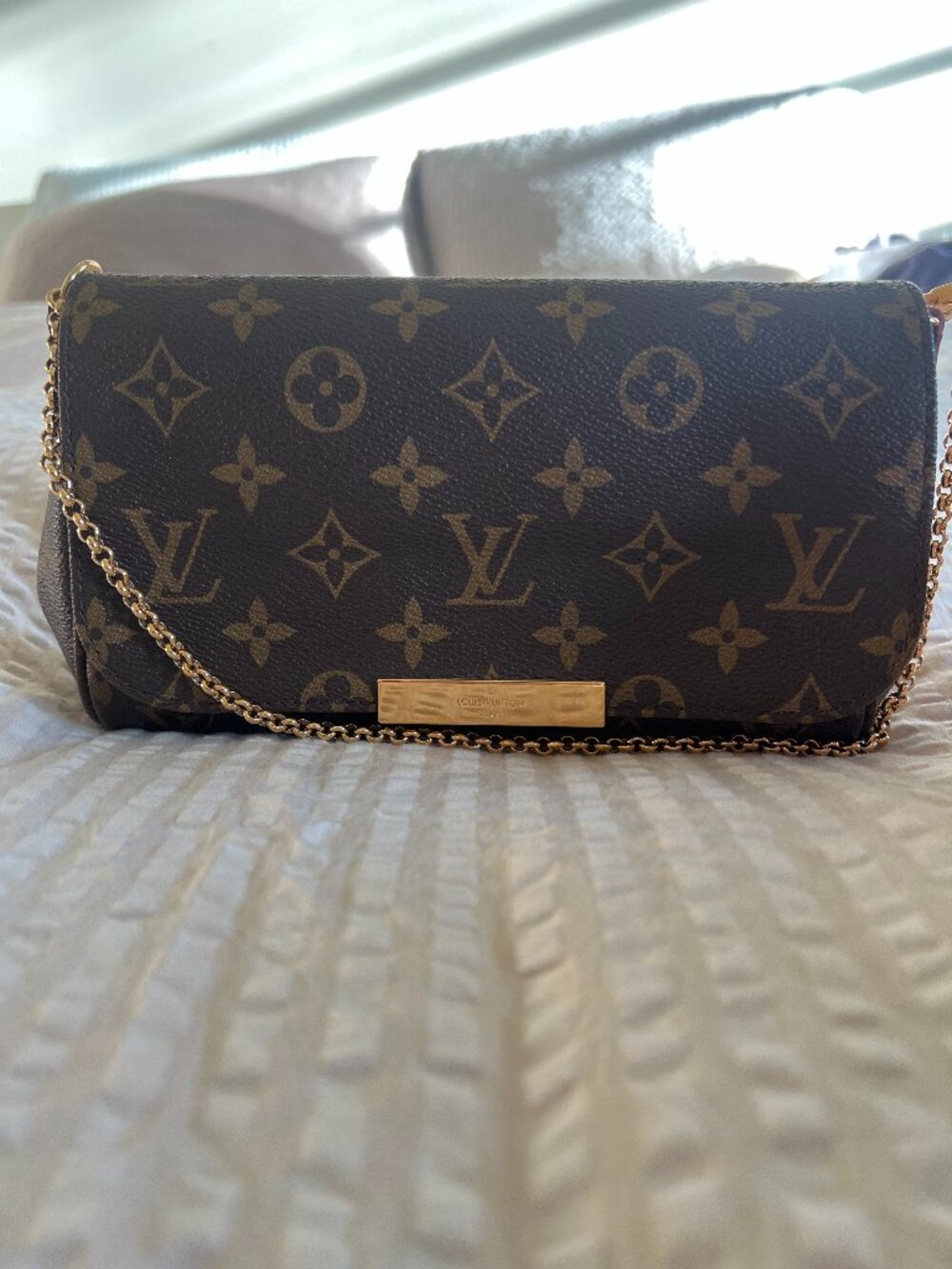 Louis Vuitton Favorite PM Monogram - FULL SET w/ receipt!